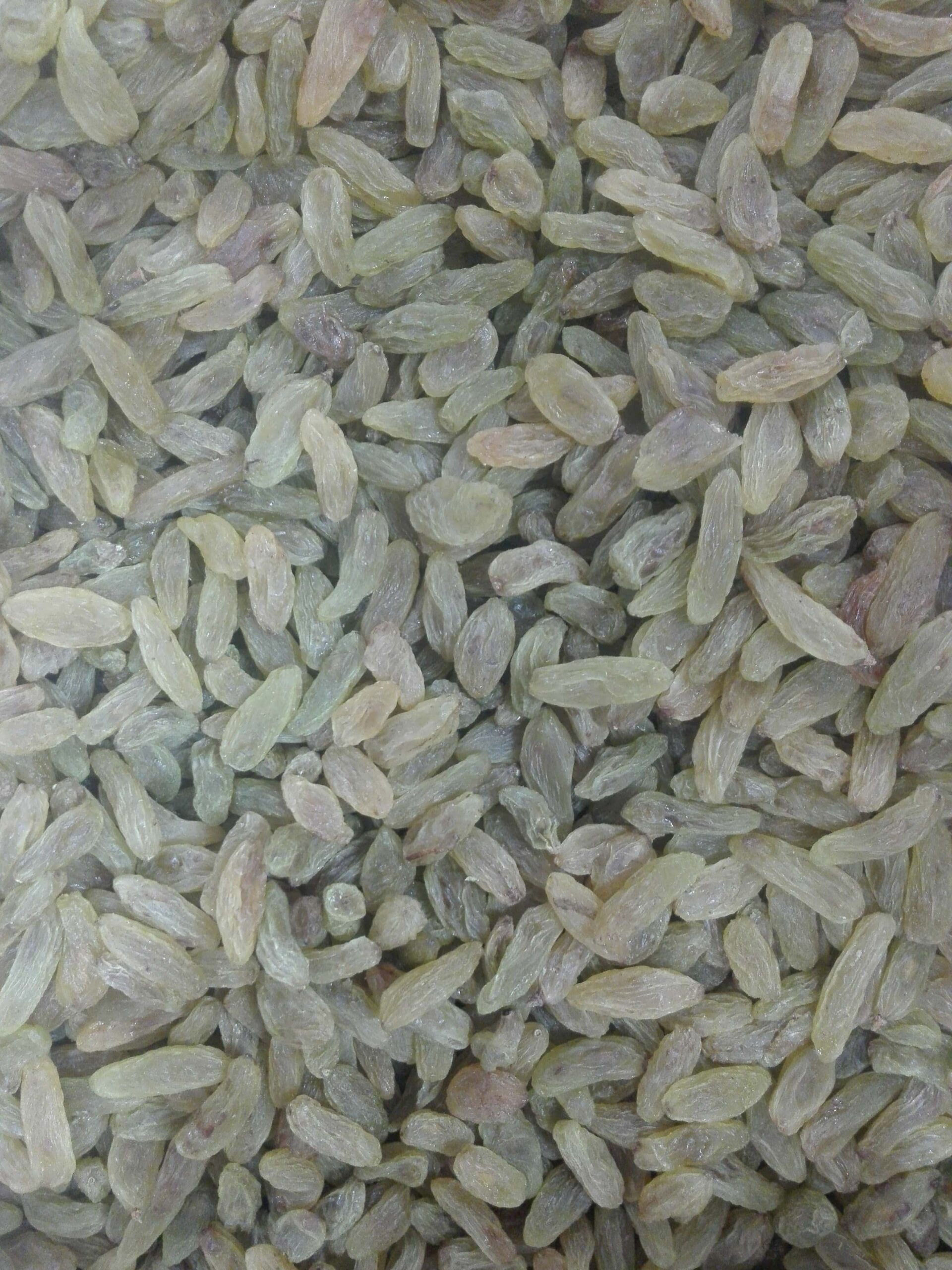 کشمش و مویز